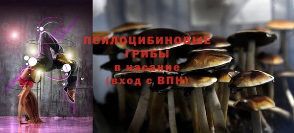 ГАЛЛЮЦИНОГЕННЫЕ ГРИБЫ Алексин