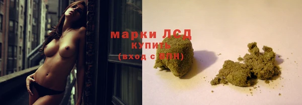 ГАЛЛЮЦИНОГЕННЫЕ ГРИБЫ Алексин