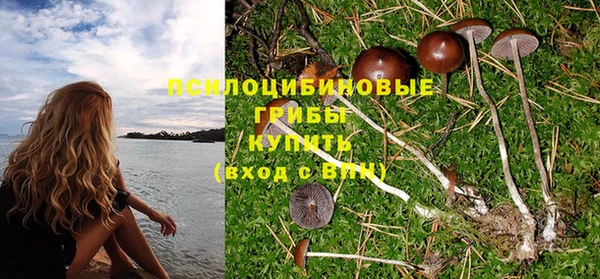 твердый Абинск