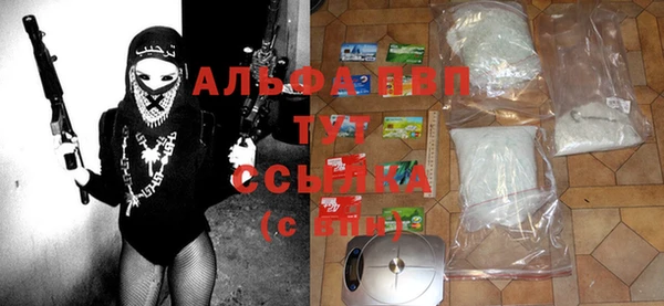 индика Алексеевка