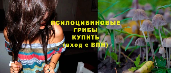 твердый Абинск