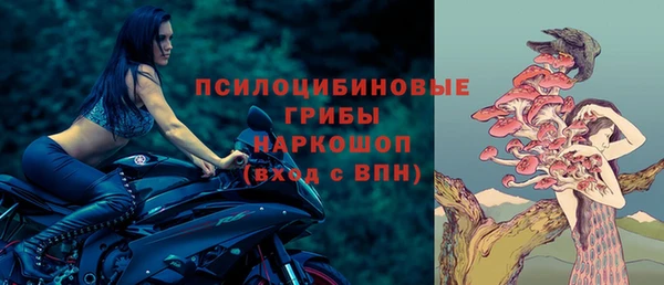 ГАЛЛЮЦИНОГЕННЫЕ ГРИБЫ Протвино