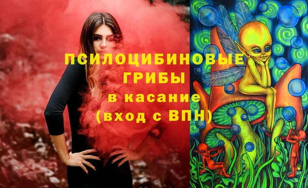 индика Алексеевка