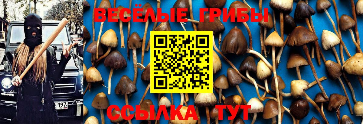 Псилоцибиновые грибы ЛСД  Вход с VPN  магазин  наркотиков  Галлюциногенные грибы MAGIC MUSHROOMS  Пенза 